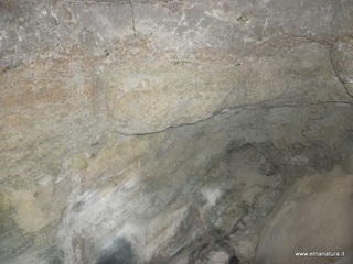 tapiccola-13-01-2013 09-10-42